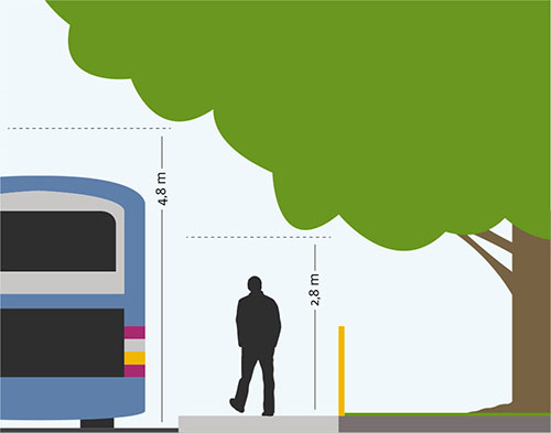 Illustration med perspektiv från sidan, föreställande tomt intill gata där illustrerade person har fri höjd på 2,8 meter och fordonet på körbanan har 4,8 meter i fri höjd.
